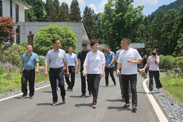 咸丰县委书记郭玲到恩施坪坝营景区调研