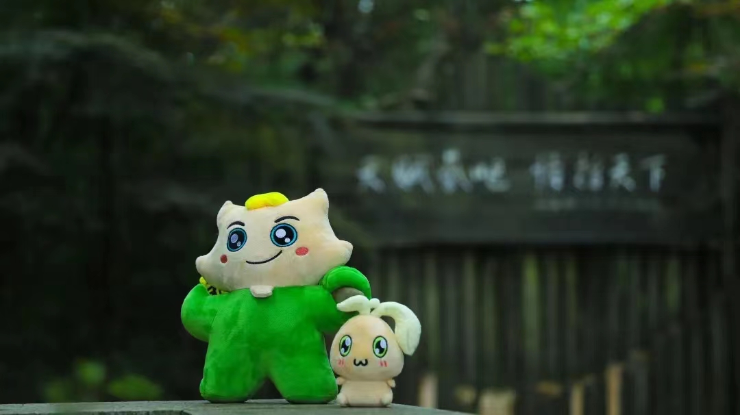 【暑期游坪坝营】大楸哥＆小桐妹拍了拍你，邀你一起过暑假啦！！！