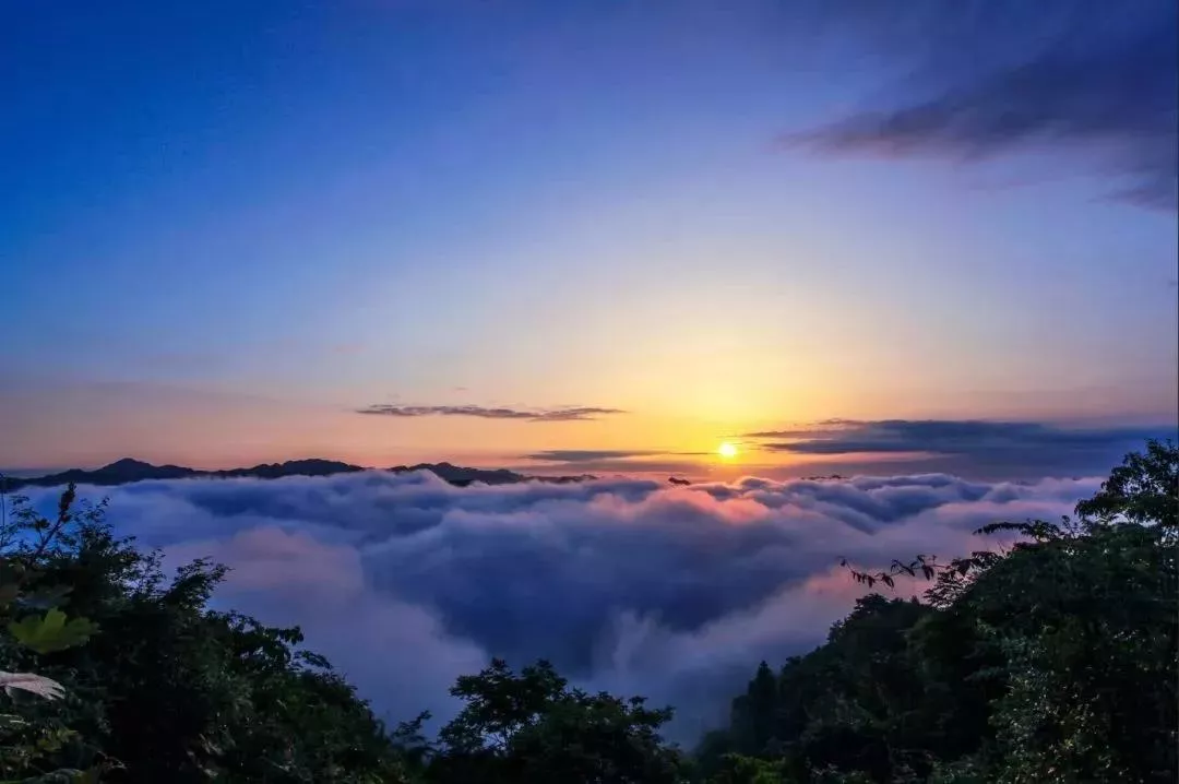 宝藏康养避暑目的地——坪坝营，晃晃悠悠的老夏天备受青睐 ！