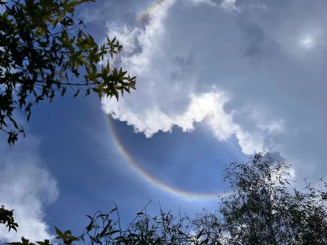 太阳被彩色的光环环绕●十分震撼夺目 ▎坪坝营景区上空惊现日晕景观